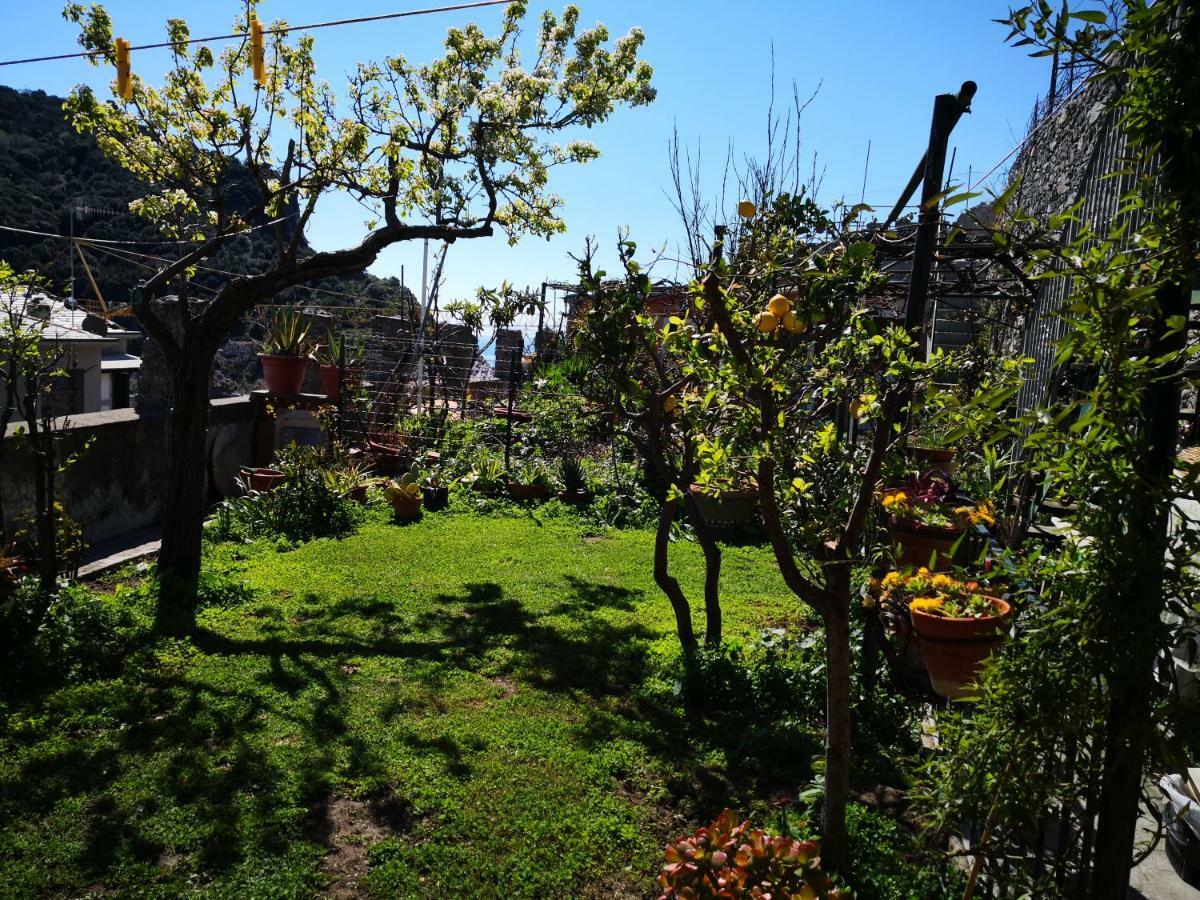 Il Nido Dei Gabbiani Holiday home